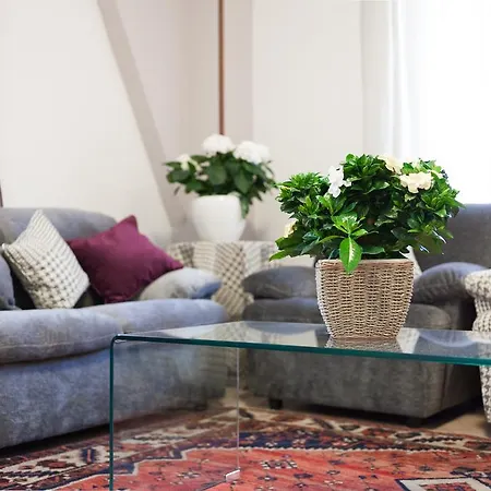 法布里尼酒店 3*